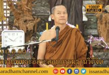 หลวงปู่พุทธะอิสระสอนกรรมฐานวิถีจิต ช่วงเช้า 30ก.ค.2560 FUll HD