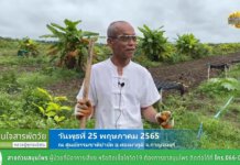 ปกิณกะธรรม เพื่อนใจสารพัดวัย EP.359