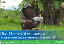 คุยเฟื่องเรื่องโลกกับธรรม Ep.194 : พุทธจริต 14มิ.ย.2565